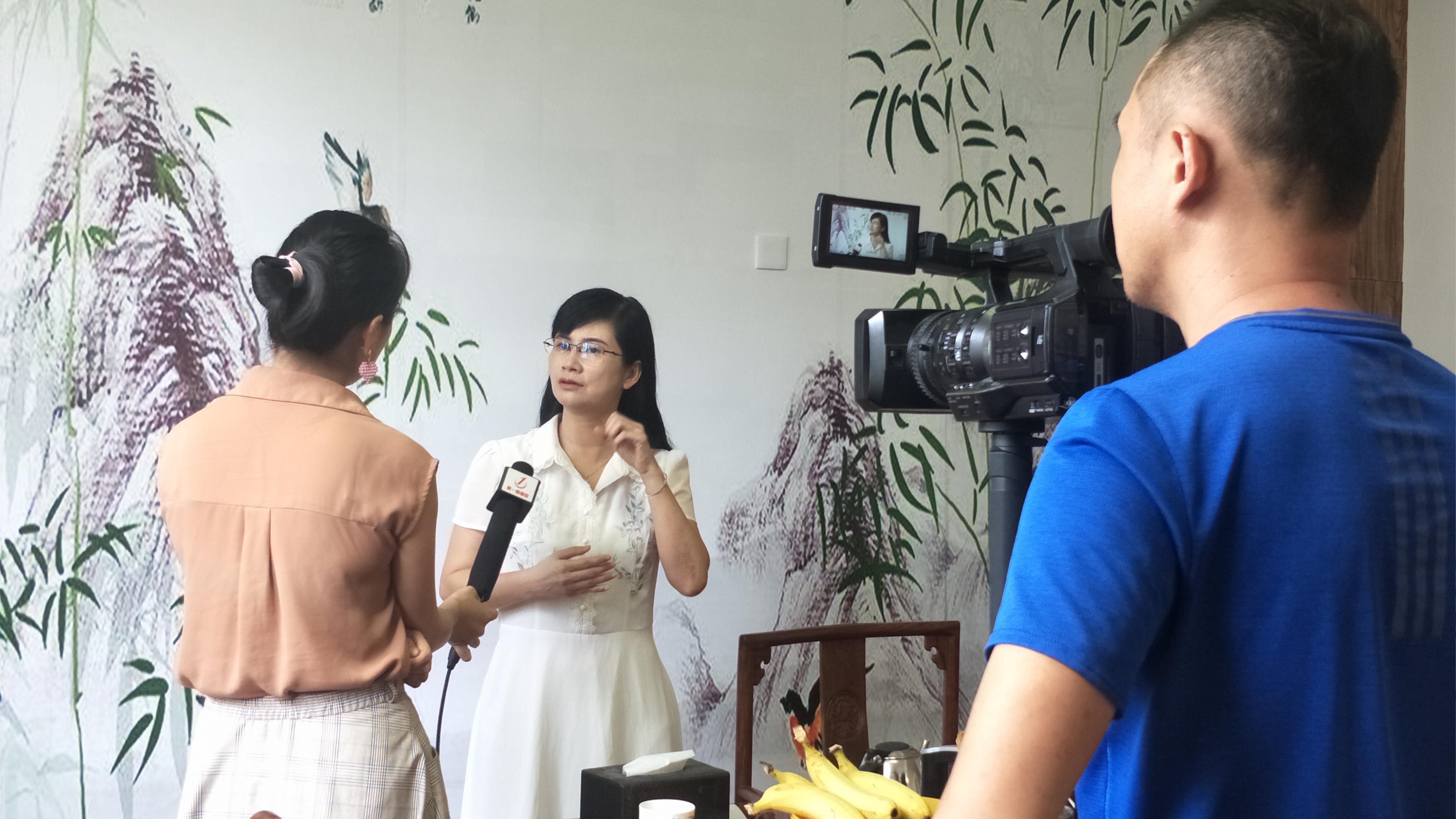 吴一明老师接受第一直播室---惠州传媒网主题为：逃避式考研学生的心理状态分析及建议
