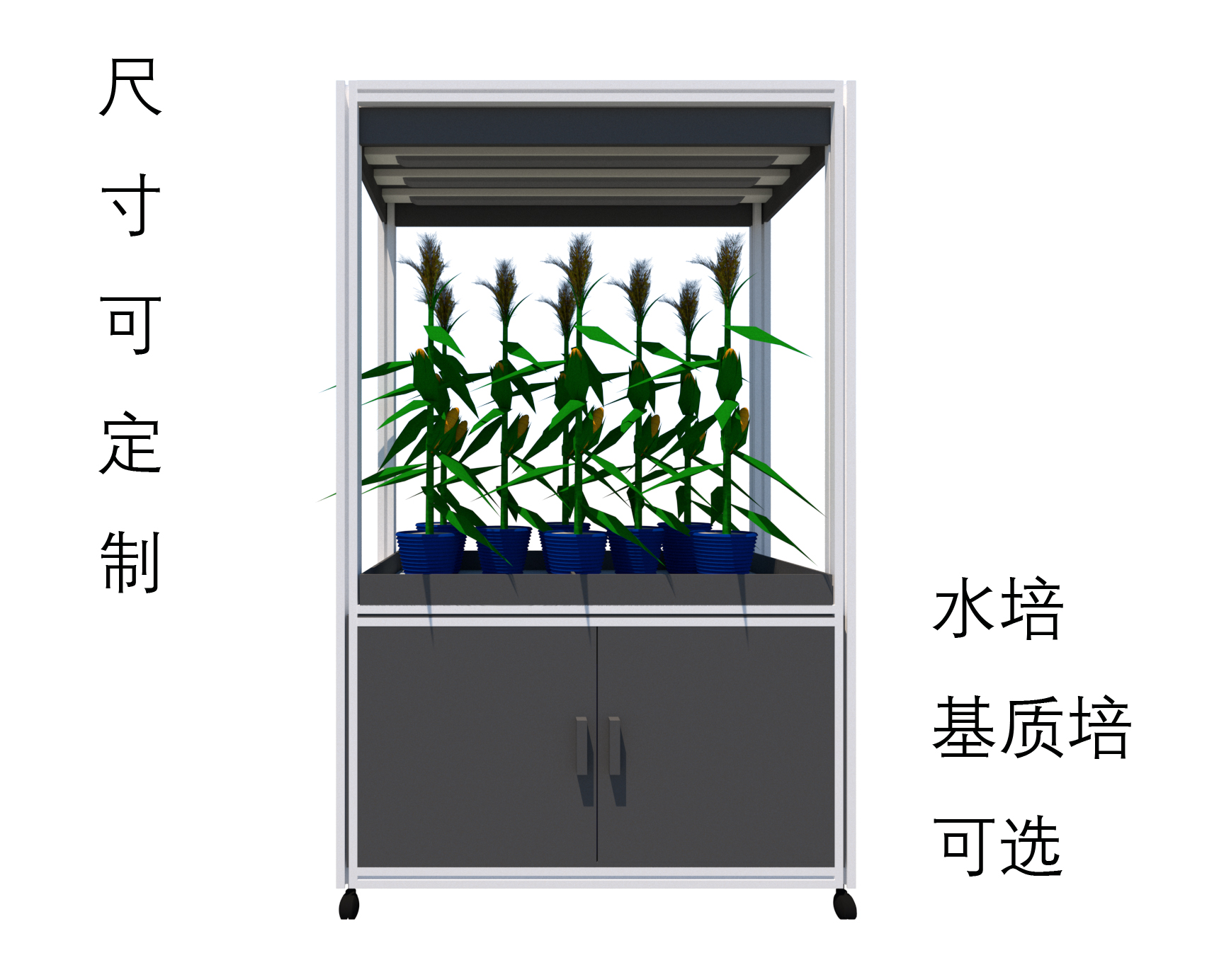 智能种植，随心所欲 教育科研，硬核工具 足不出户，抢鲜一步