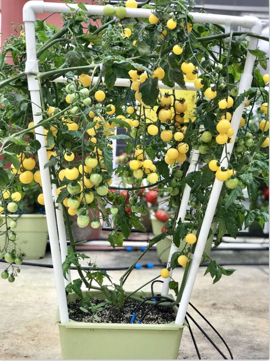 产品内设隔水层，避免积水横流，安装简单易操作，是您居家种植的好帮手。