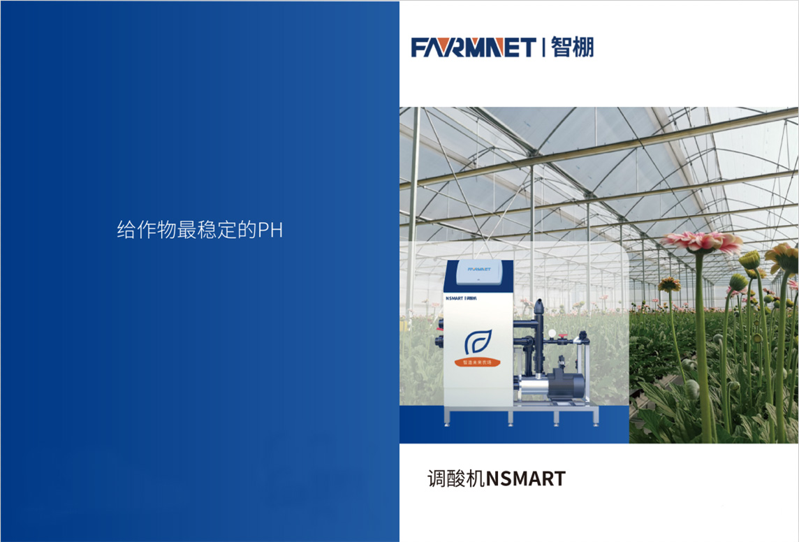 nsmart